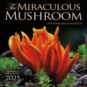 Amber Lotus The Miraculous Mushroom 12x12 2025 Wall Calendar