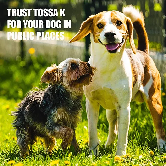 Amber Naturalz TOSSA K: Kennel Bark - for Dogs, 1 Ounce LP