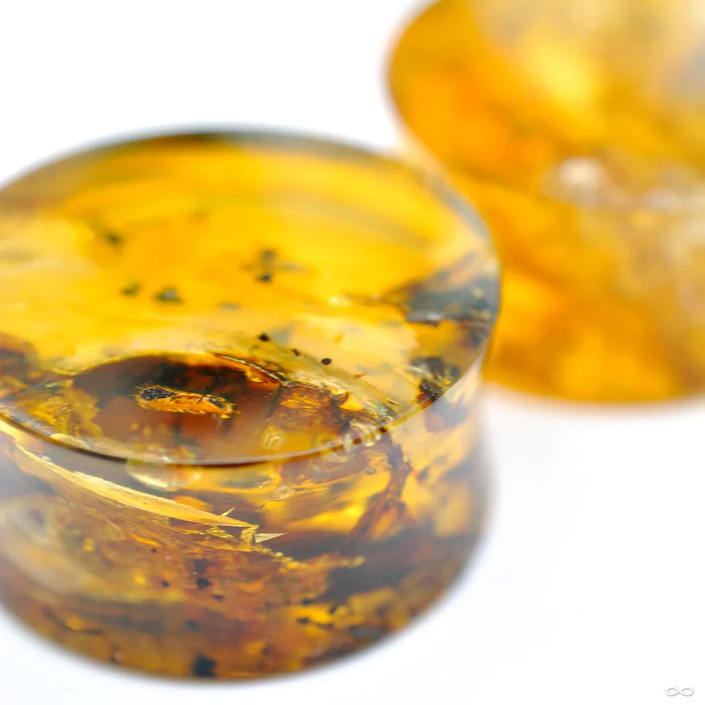 Chiapas Amber Plugs from Diablo Organics