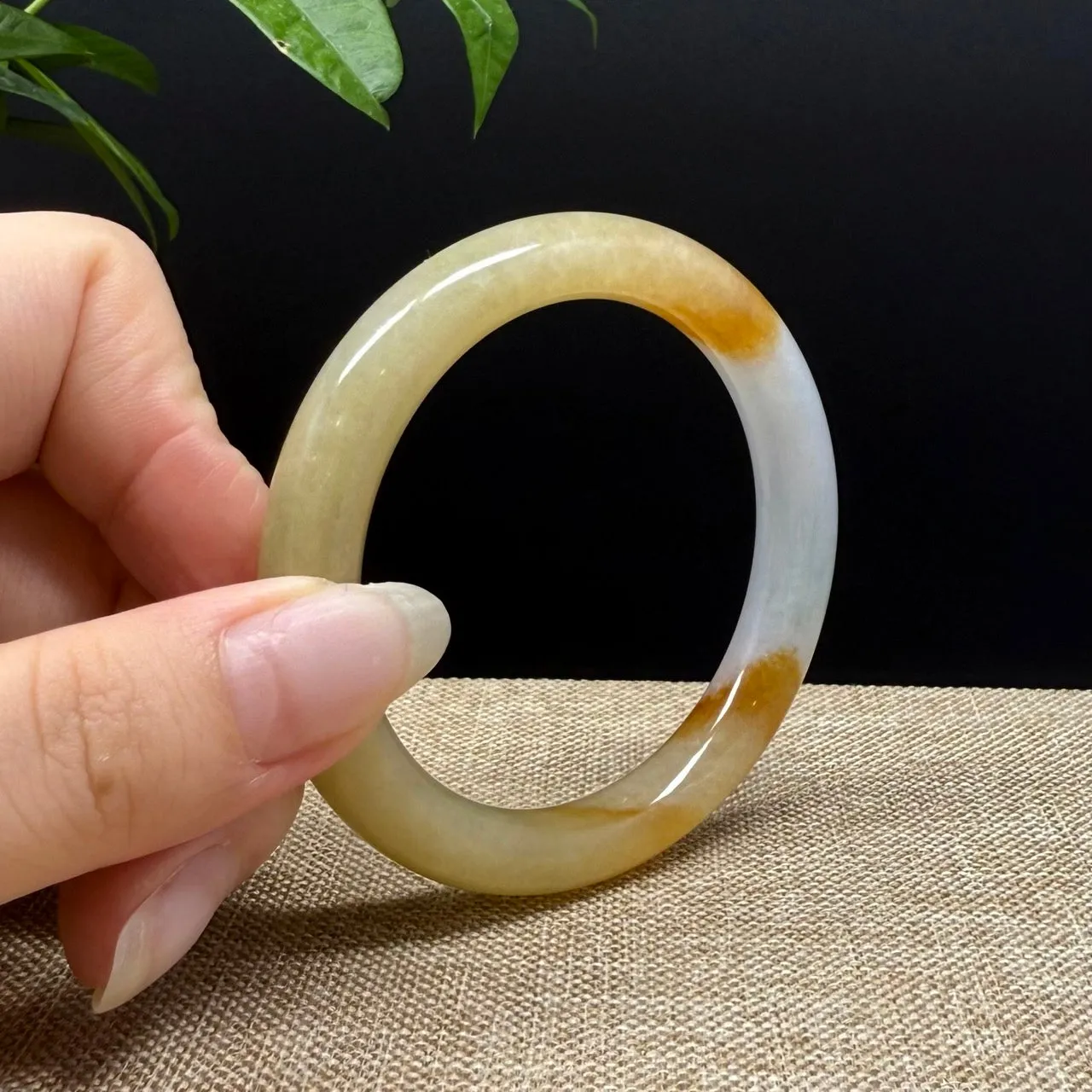 Genuine Burmese Yellow Jade Jadeite Bangle Bracelet ( 52mm )