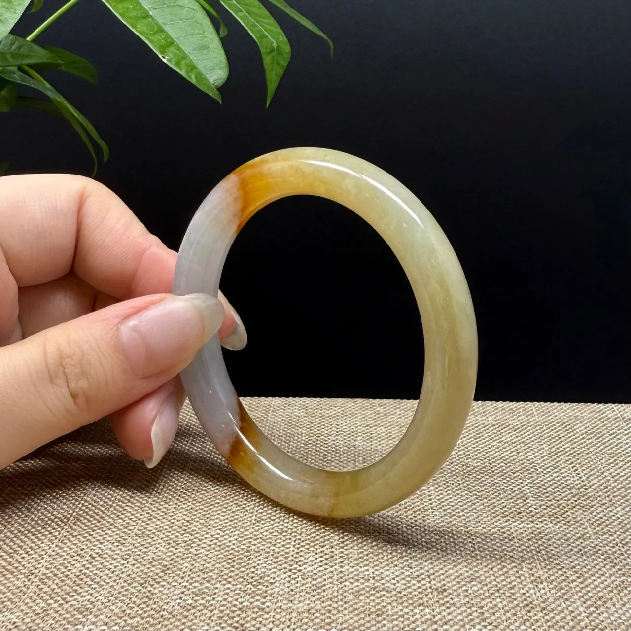 Genuine Burmese Yellow Jade Jadeite Bangle Bracelet ( 52mm )
