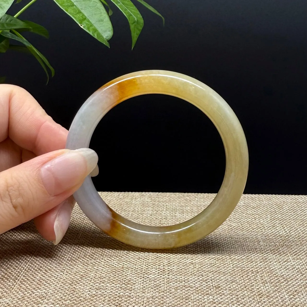 Genuine Burmese Yellow Jade Jadeite Bangle Bracelet ( 52mm )