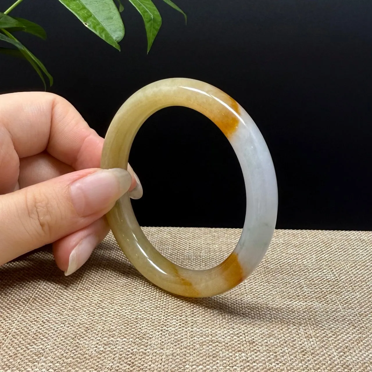Genuine Burmese Yellow Jade Jadeite Bangle Bracelet ( 52mm )