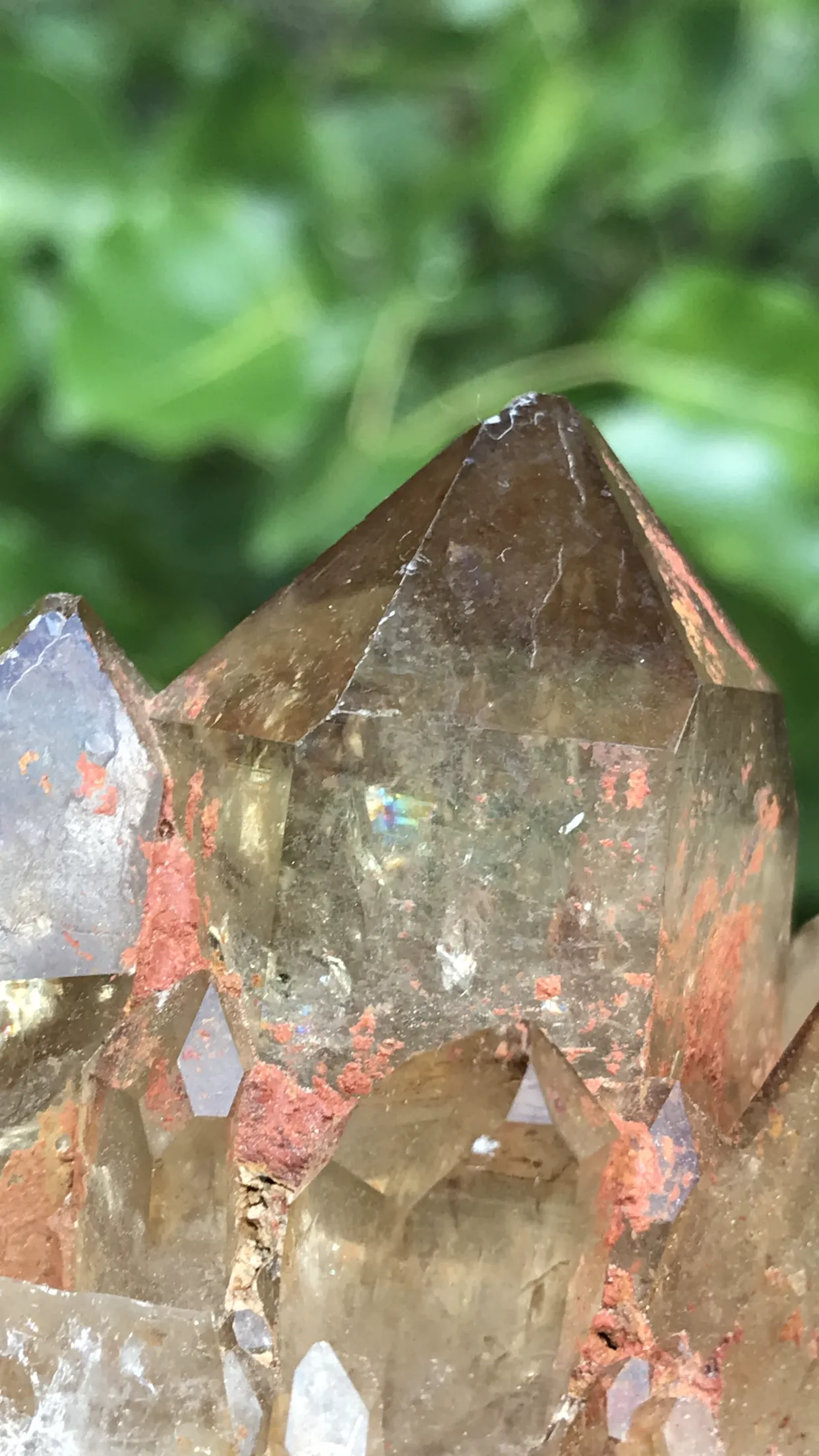 Huge Stand-Alone Kundalini Quartz Citrine, Democratic Republic of Congo, Lwena, Congo Citrine