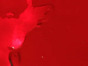 Ruby Red artists oil color