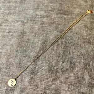'Scorpio' steel astrology pendant necklace