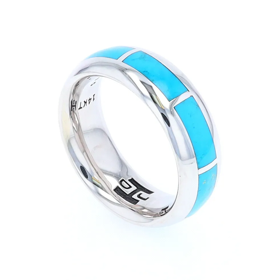 Sleeping Beauty Turquoise 8 Section Inlaid Eternity Band