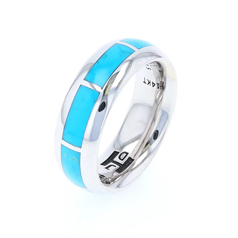 Sleeping Beauty Turquoise 8 Section Inlaid Eternity Band